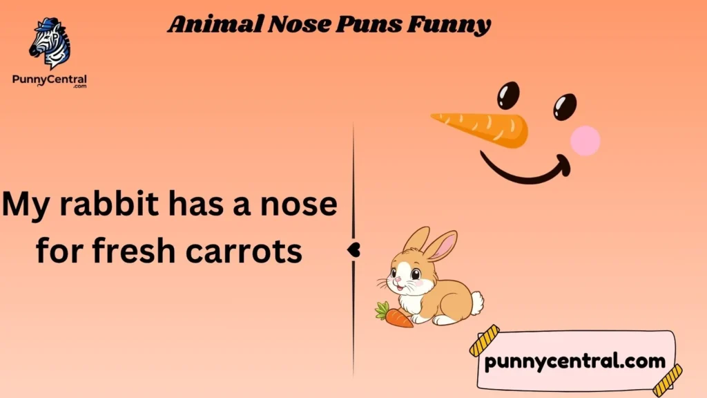 Animal Nose Puns Funny