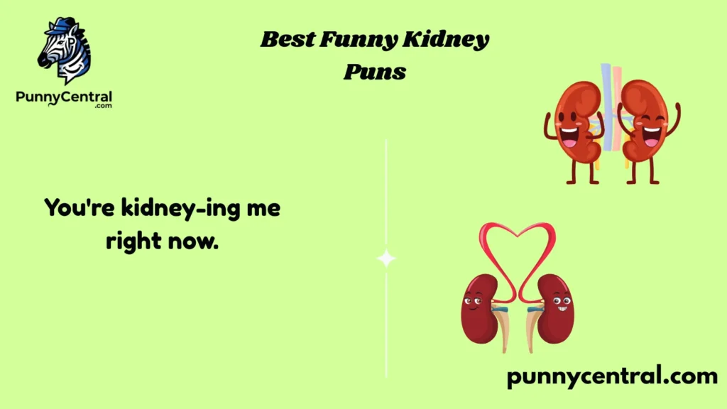 Best Funny Kidney Puns