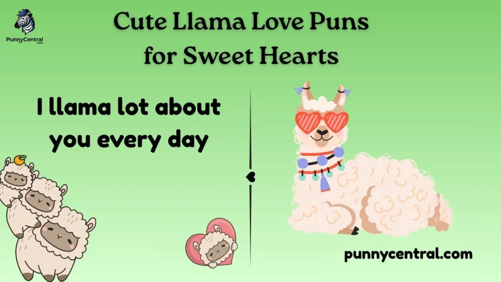 Cute Llama Love Puns for Sweet Hearts