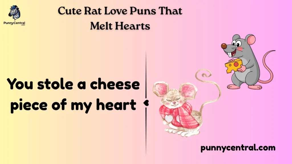 Cute Rat Love Puns That Melt Hearts