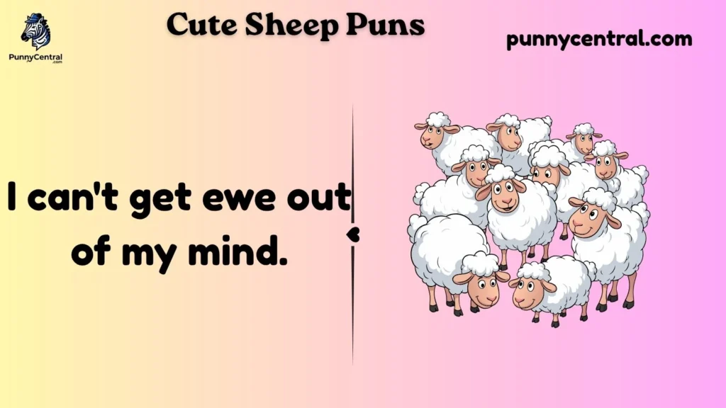 Cute Sheep Puns 