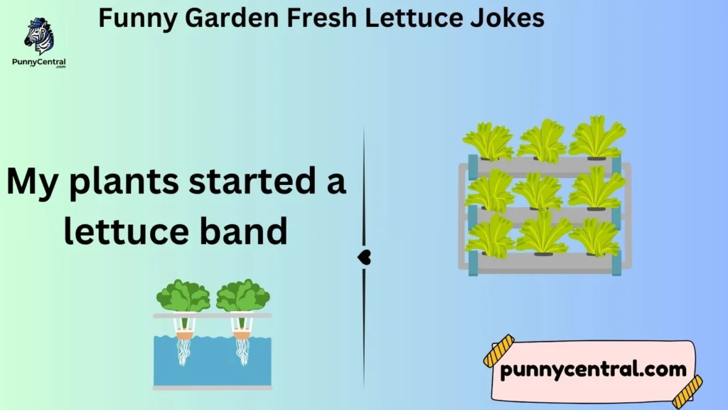 Funny Garden Fresh Lettuce Jokes