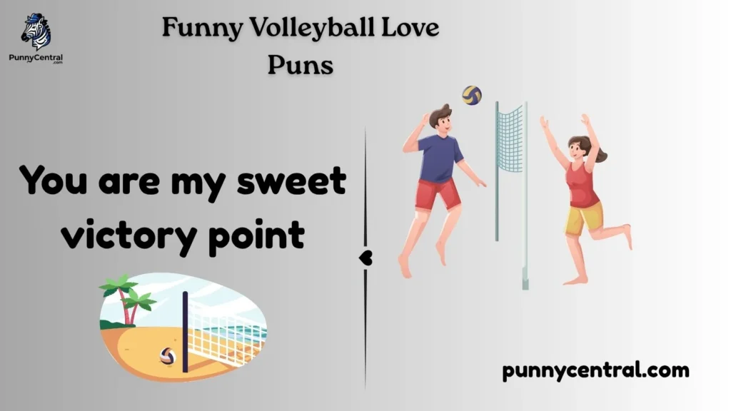 Funny Volleyball Love Puns