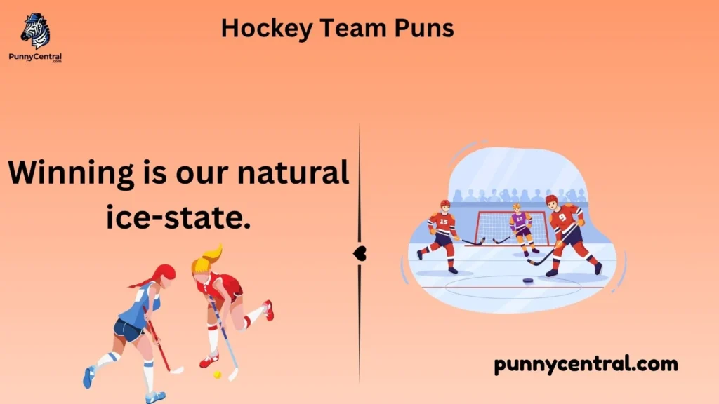 Hockey Team Puns