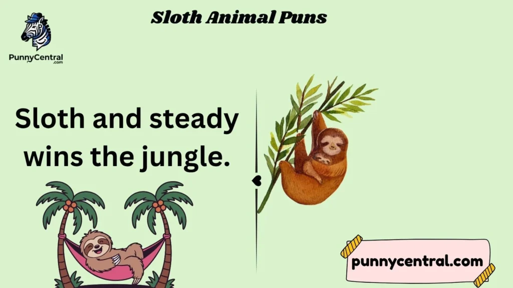 Sloth Animal Puns