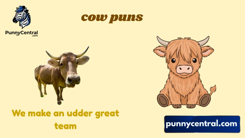Funny Cow Puns