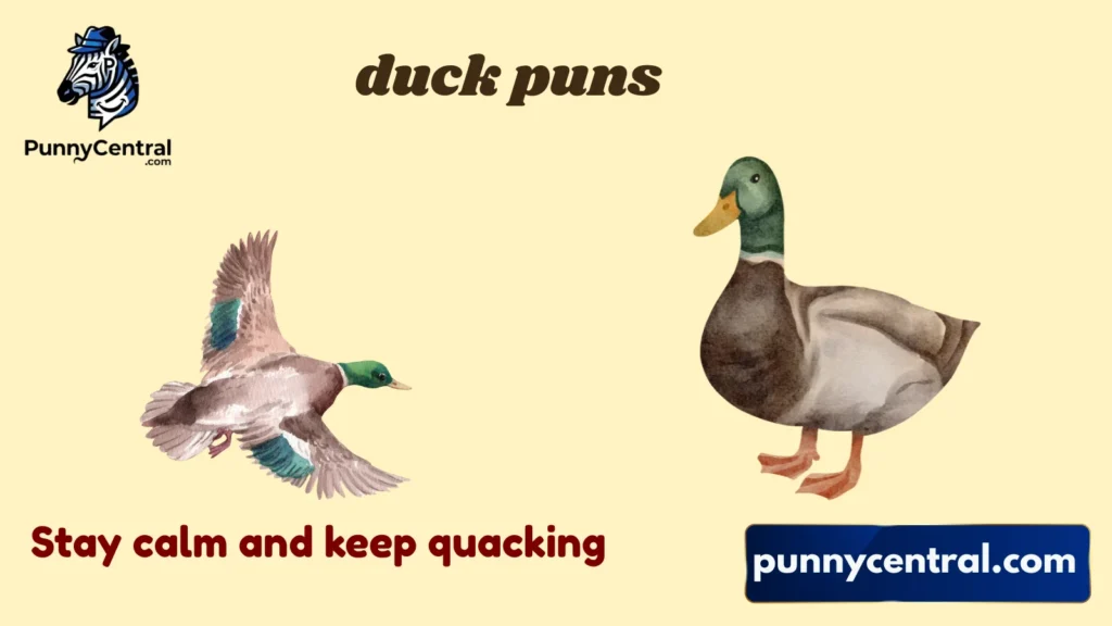 Funny Duck Puns
