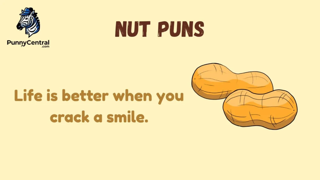 Funny Nut Puns